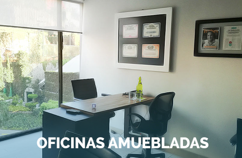 Oficinas-Amuebladas